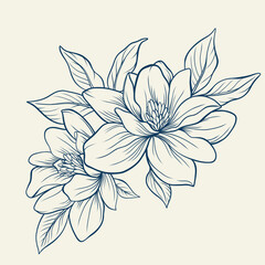 Magnolia flowers drawing with line-art