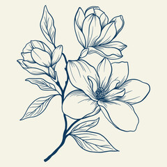 Magnolia flowers drawing with line-art