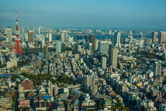View over Tokyo with the Tokyo Tower, from the Mori tower, Roppongi Hills, Tokyo, Honshu