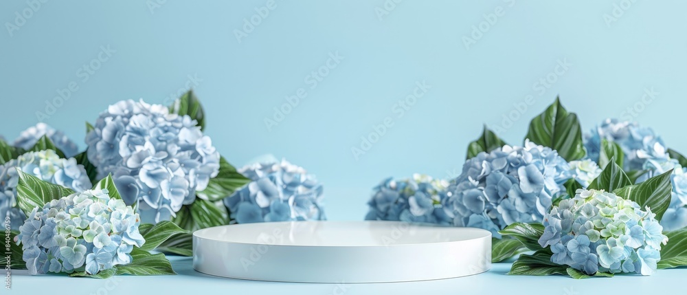 Wall mural elegant blue hydrangea flowers surrounding an empty podium on a light blue background, perfect for s