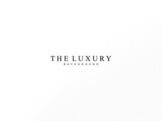 Premium background design with gray gradient white diagonal stripe pattern. Vector white horizontal template for business banner, invitation background, luxury voucher, gift certificate, etc.