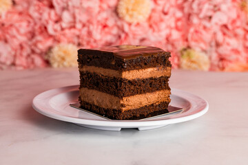 Chocolate layer cake slice