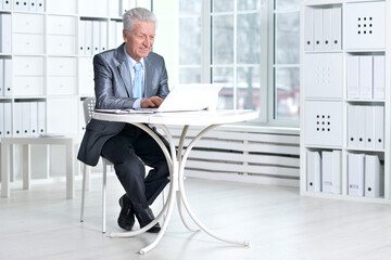 Senior businessman working with computer in office
