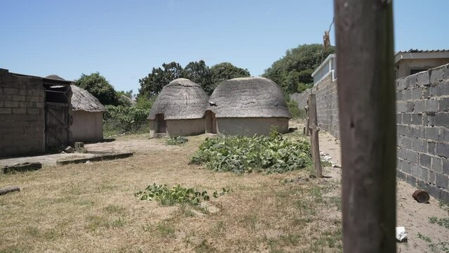 View of thatched roof houses in traditional Zulu village, Veyane Cultural Village, Khula, Khula Village, KwaZulu Natal, South Africa, Africa