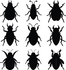 Ambrosia Beetle cute animal in colorful cartoon style isolated on white background. Vector graphics. It's a loosely related group of weevil, beetles that form a symbiotic relationship with the Ambros