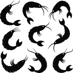 Amano Shrimp (Caridina multidentata) cute animal, cartoon style isolated on white background. Vector graphics. the Yamato, algae shrimp. And born in freshwater, Amano shrimp silhouette