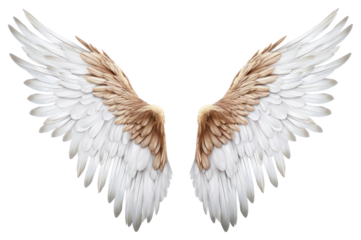PNG Wings angel bird flying