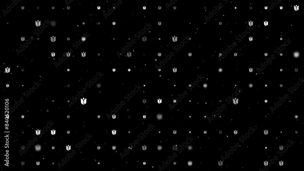 Poster template animation of evenly spaced tulips of different sizes and opacity. animation of transparency