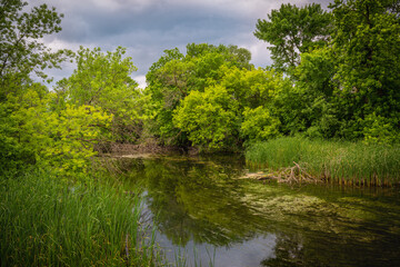 Sioux Falls Nature Conservation Area at Sertoma Park: The Vibrant Greenway Walking Trails Summer Landscape along the Big Sioux River in South Dakota