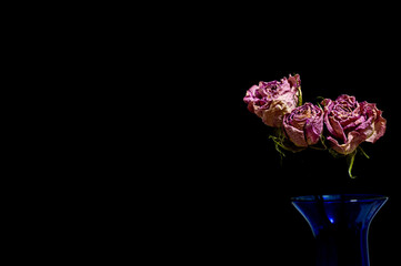 バラのドライフラワー