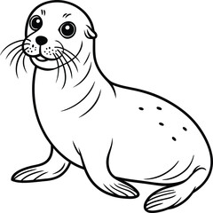 Seal animal coloring pages for kids book. Animal outline vector