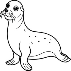 Seal animal coloring pages for kids book. Animal outline vector