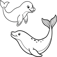 Seal animal coloring pages for kids book. Animal outline vector