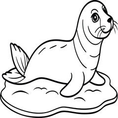 Seal animal coloring pages for kids book. Animal outline vector