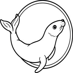 Seal animal coloring pages for kids book. Animal outline vector