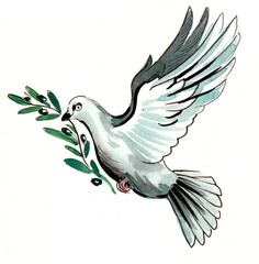 Flying dove. Watercolor hand drawn illustration
