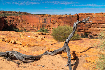 Kings Canyon / Watarrka Rim Walk, Northern Territory, Australia