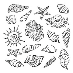 Hand drawn set of seashells. Black and white outline doodle illustration.
