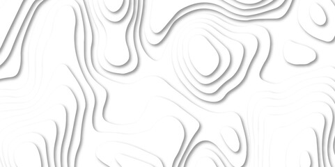 Fototapeta premium Abstract white paper cut background with line. 3d topography relief. Vector topographic illustration. realistic papercut decoration textured with wavy layer and shadow. seamless pattern wave design.