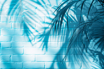 Abstract summer background with palm leafs and brick wall