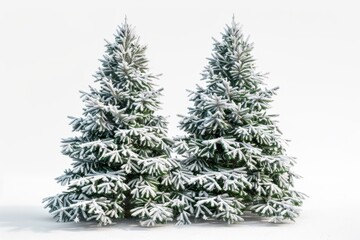 Fototapeta premium Realistic photograph of a complete Christmas trees with snow,solid stark white background, focused lighting