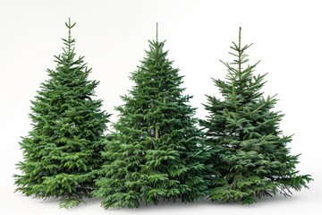 Fototapeta premium Realistic photograph of a complete Christmas trees,solid stark white background, focused lighting