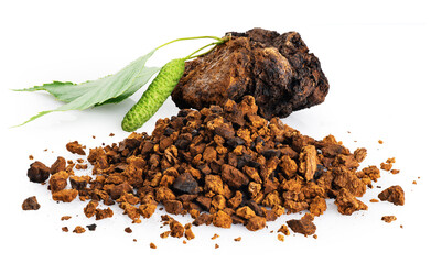 Chaga mushroom pieces with birch leaves isolated on white background.