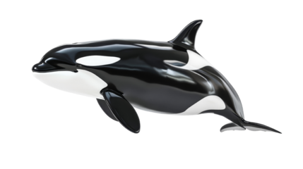High-quality image of a lifelike orca whale model, isolated on white background. Perfect for educational and marine-themed projects.