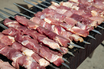 Shish kebabs of raw marinated pork on the grill
