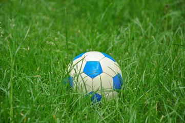 Fototapeta premium soccer ball on green grass. selective focus and blurred background. football games