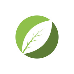 Green leaf illustration