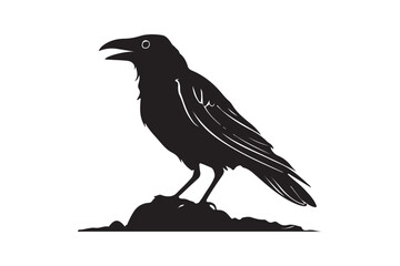 Black crow silhouette vector illustrator with white background