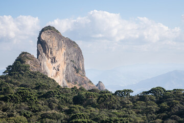 Altitude rainforest at southeastern Brazil
