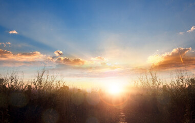 Obraz premium meadow autumn sunrise landscape background