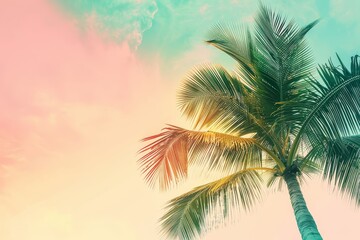Minimalist green palm tree against colorful sky white background close up surreal composite summer theme