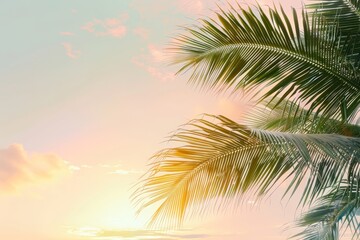Fototapeta premium Green palm tree minimalist colorful sky white background selective focus vibrant blend mode sunset theme