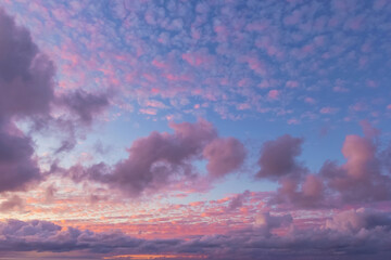Fototapeta premium Pink fluffy clouds in sun light on the sky. Cloudy heaven at sunset. Santa Cruz de Tenerife, Spain. Purple clouds on a background of blue sky at sunset