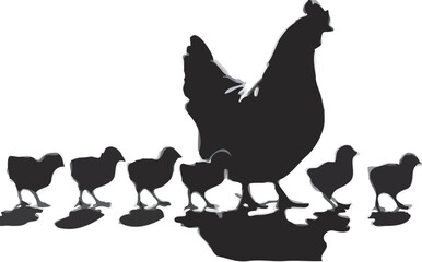 chiken 03.eps