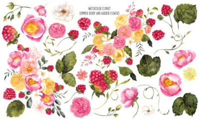 Watercolor set with hand draw fresh summer berries, cherry, raspberry and garden flowers, isolated on transparent background, vintage graphic