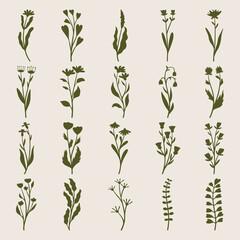 Set of plants and flower silhouette