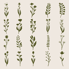 Set of plants and flower silhouette
