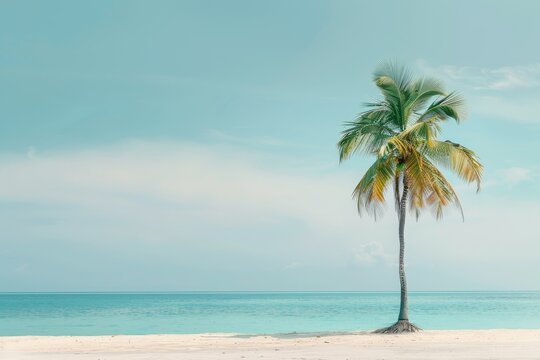 Tropical island minimalist solitary palm tree white background selective focus vibrant blend mode coastal theme
