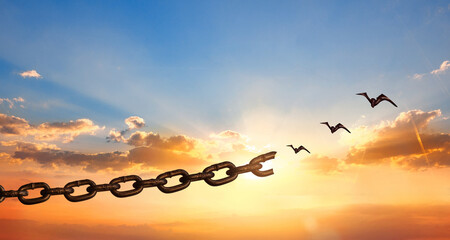Silhouette of bird flying and broken chains at sunset background