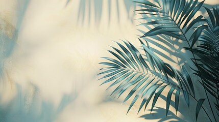 Blurred Palm Leaf Shadows on Cream Wall in Bright Sunlight