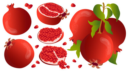 Ripe pomegranate, pomegranate fruits on a branch, pomegranate slices, scarlet pomegranate seeds. Label, banner advertising element. Vector illustration. Printing on fabric, paper, cards