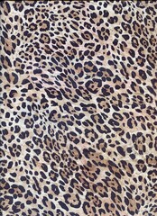 Luxury leopard background. Wild tiger pattern. Pantera animal print. Cheetah print. Snow leopard fur. © Feoktistova