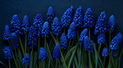 top view of bouquet arranged of muscari flowers 