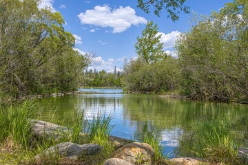 Obraz premium Trout Pond at Forestry Farm Park in Saskatoon, Saskatchewan, Canada