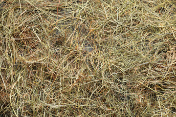Pile of dried hay as background, top view