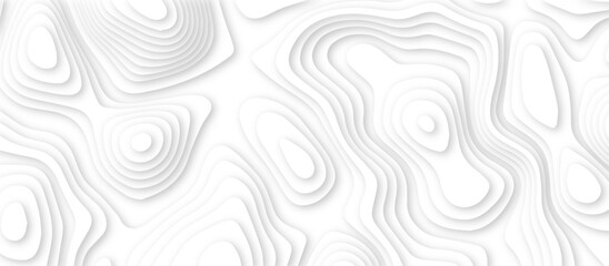Fototapeta premium abstract white papercut background with 3d geometry circles. white paper cut banner with 3d slime abstract background and white waves layers.